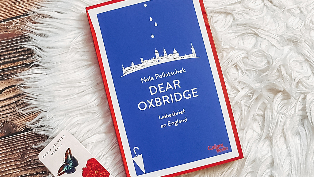 Nele Pollatschek: Dear Oxbridge | Rezension